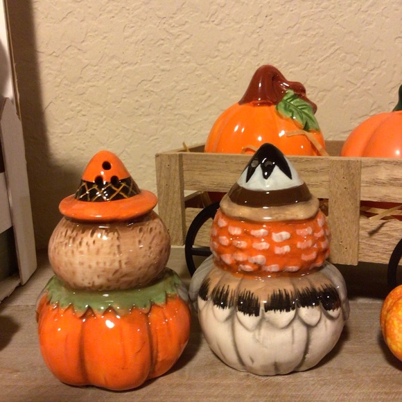 Johanna Parker turkey and owl Salt & Pepper Shakers 🍁 - Picture 2 of 16